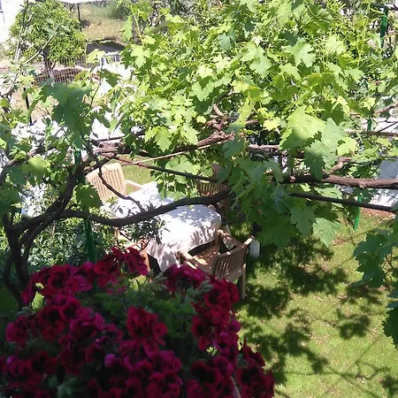 Apartament Jonny Ksamil