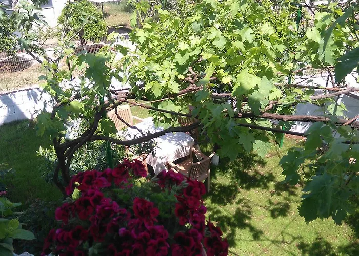 Apartment Jonny Ksamil